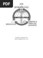 Introducao a Oclusao