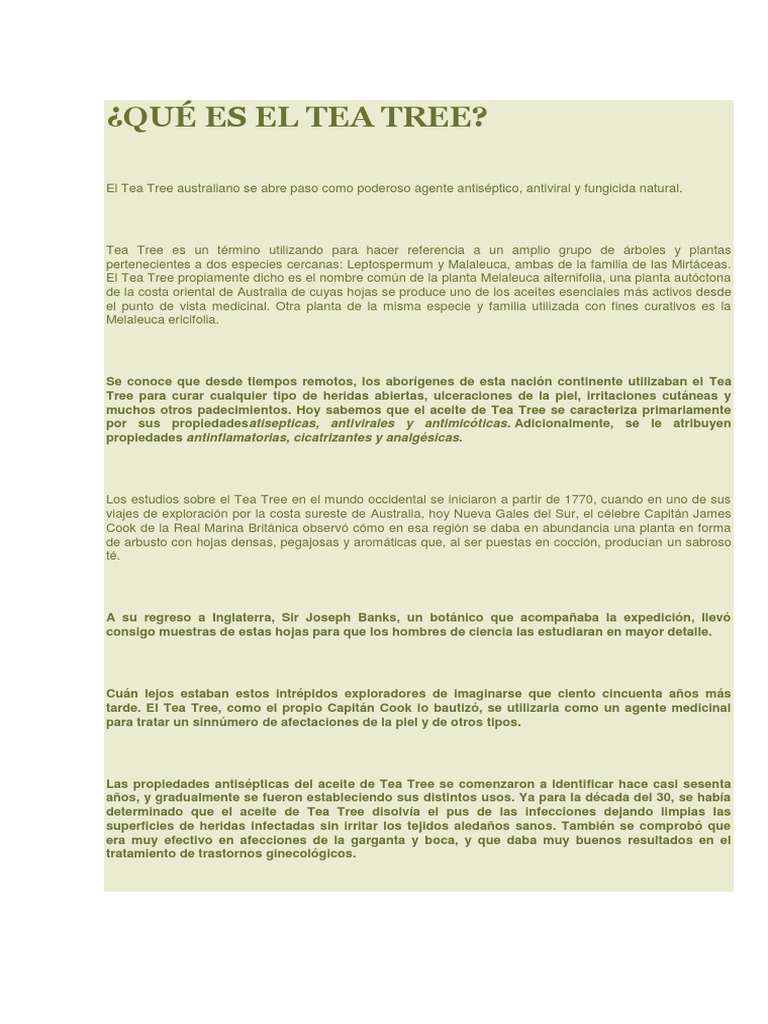 Aceites de Tea Tree y Rosalina | PDF | Champú | Aceite de oliva