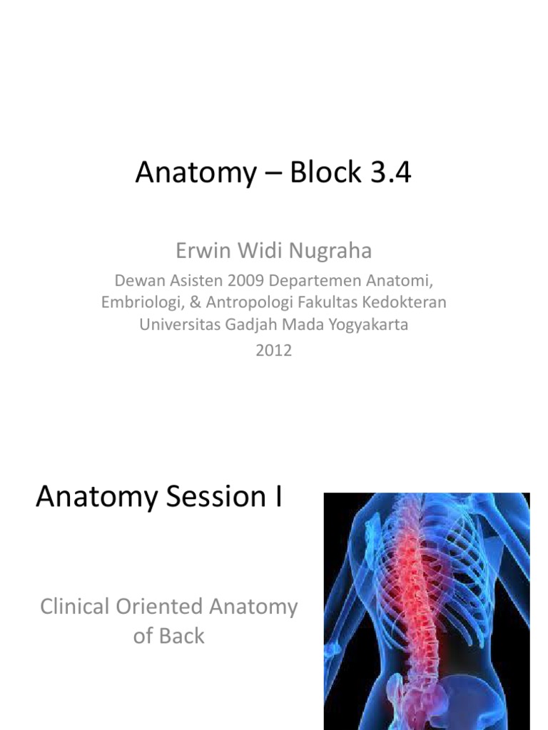 Clinically Oriented Anatomy Blok 3 4 Pdf Vertebra Vertebral Column