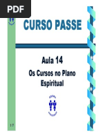 14-Os-Cursos-no-Plano-Espiritual.pdf