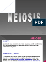 Meiosis 2014