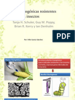 Plantas Transgénicas Resistentes A Insectos PDF