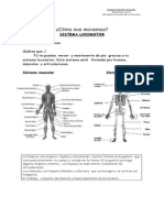 Guía Sistema Locomotor