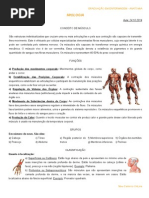 Sistema Muscular (Miologia) - Generalidades, Aula24.10.2014
