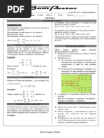 Determinantes Apostila