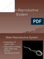 Human Reproductive