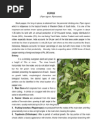 Download Black pepperpdf by ssimisimi SN246953512 doc pdf