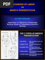 Download Mechanism of Labor in Breech Presentation by yoyoks1998 SN246957927 doc pdf