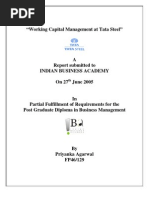 Download Working Capital Management at Tata Steel by agr_bela SN24696438 doc pdf