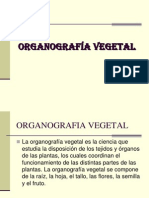 Organografia Vegetal
