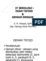 Lab Act - Test Widal & Dengue