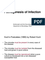 Pathogenesis of Infection