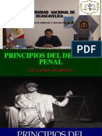 Principios Del Derecho Penal