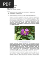 Download LTM Rekayasa Genetika_Kloning Gen Tanaman by Sandra Monica SN246997414 doc pdf