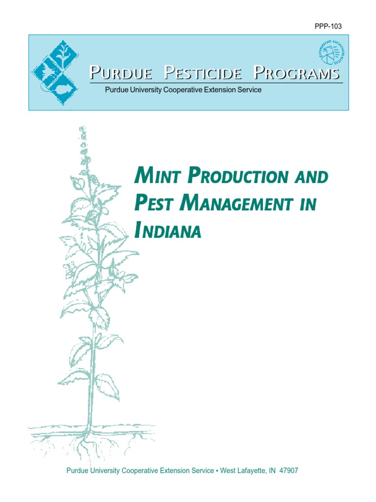 Inidiana Mint Production PDF Herbicide Crop Rotation