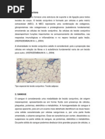 histo tecido conjutivo sanguineo.pdf