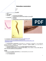 Enterobius Vermicularis PDF