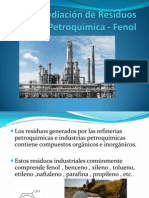 Biorremediación de Residuos Petroquímica - Fenol