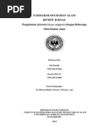 Download Review Jurnal Obat Bahan Alam Untuk Acne Vulgaris by Dewita Fitri SN247026487 doc pdf