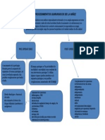 Mapa Conceptual 