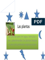 Las Plantas