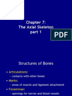 Ch 7 - Axial Skeleton s2009