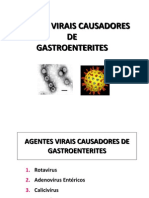 Agentes virais gastroenterites
