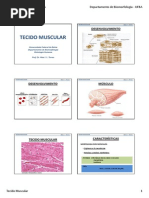 Tecido Muscular