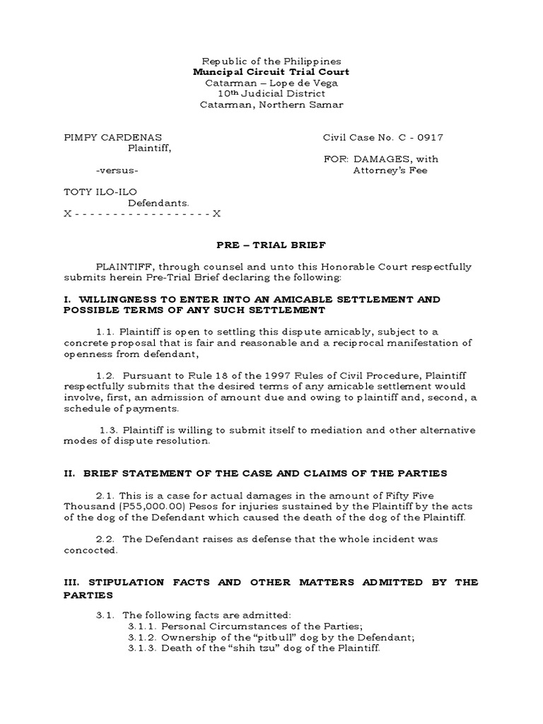 PracticeCourt PleadingPretrial Brief Format Brief (Law) Lawsuit