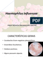Haemophilus influenzae