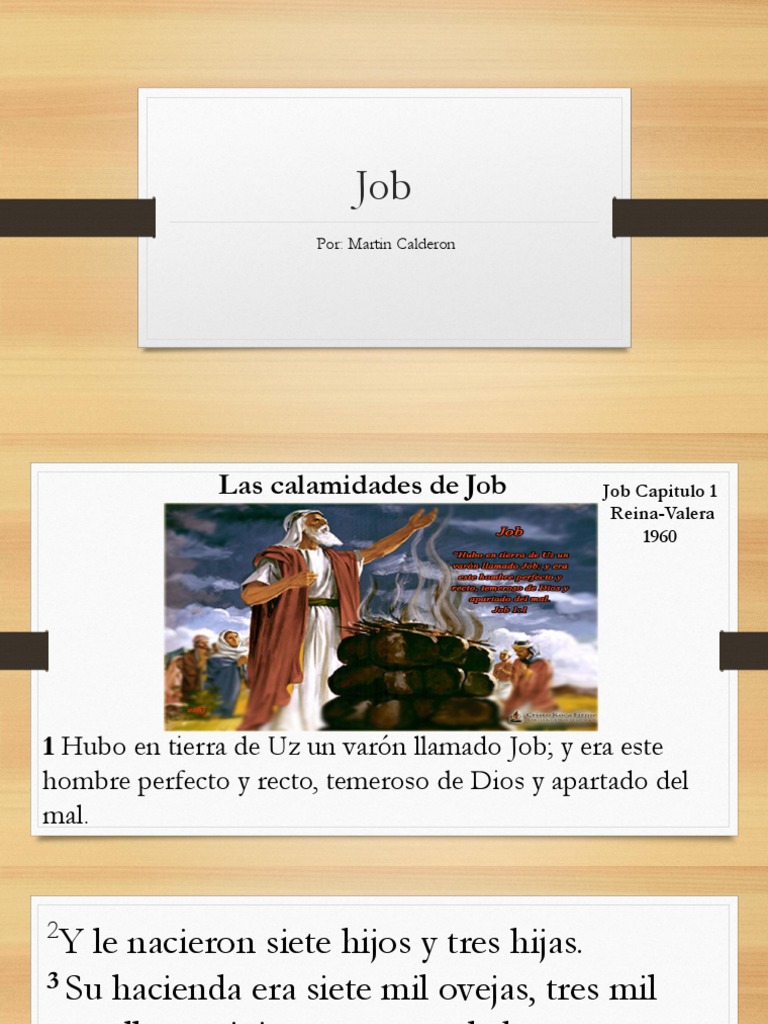 Resumen Del Libro De Job Reina Valera Job Retro