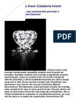 Calatoria Inimii - Creatorul Visând, Sau Neasemuita Poveste A Cărbunelui Devenind Diamant