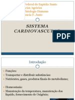 Sistema Cardiovascular