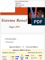 Sistema Renal