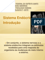 Sistema Endócrino _introdução