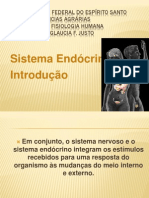 Sistema Endócrino - Introdução