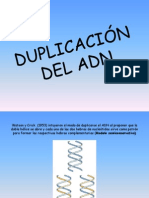 La Duplicacion