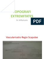 Topografi Extremitates Jantung