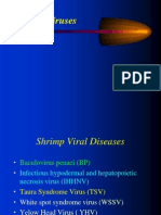 Parasit Dan Penyakit Ikan Shrimp Virus