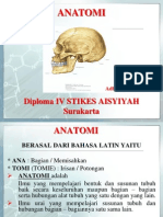 Anatomi P1 + KB