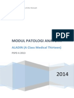 Modul PA Aladin PDF