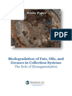 Biodegradation of Fats, Oils, and Greases in Collection Systems - The Role of Bioaugmentation