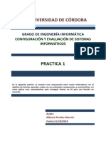 PeralesMarronAlbertoP1.pdf