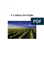 A Cultura Do Feijão