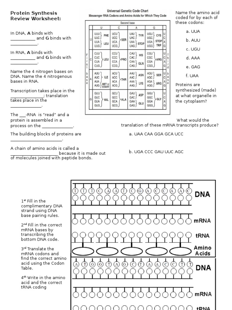 Synthesis Worksheet College English