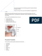 Prostatitis