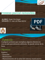 Seminario PPR PDF