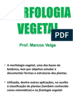 Morfologia Vegetal: Tecidos e Estruturas das Plantas