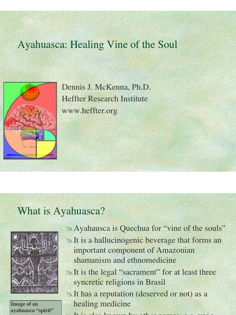 Ayahuasca Healing Vine of The Soul PDF Ayahuasca Psychoactive Drugs
