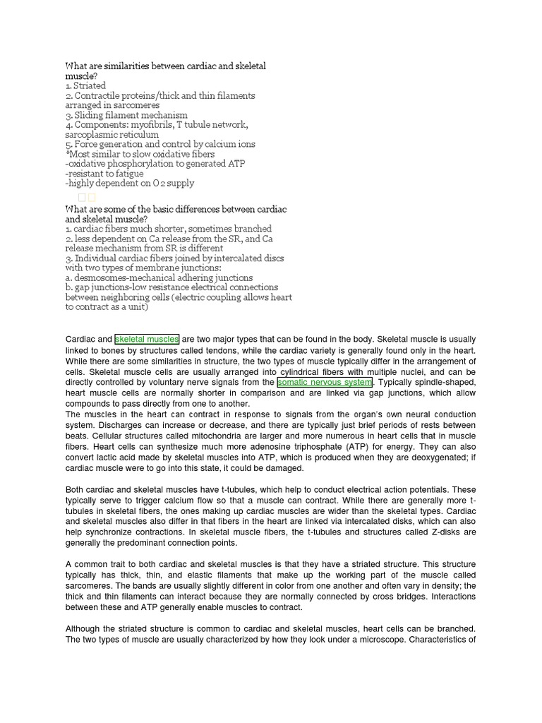 What Are Similarities Between Cardiac and Skeletal Muscle | PDF ...